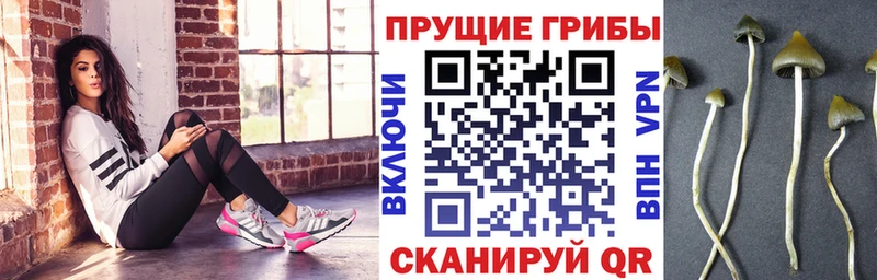 Галлюциногенные грибы Cubensis  Певек 